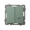 AS Łącznik dwugrupowy świecznikowy z podświetleniem niebieskim zielony mat ŁP-2GS/m/84