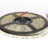 Taśma LED 3528/600/5m zimna biała wodoodporna IP63