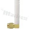 GSM-ANT01TFB2R-W
