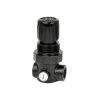 Norgren R91W-2GK-NLN Miniature Regulator G1/4 0.3 to 8.6 Bar