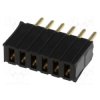 DS1065-07-1X6S8BV
