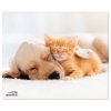 SpeedLink SL-620000-DOG SILK Mouse pad Multicolour Mousepads & Rests