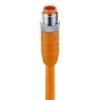 Kabel Konfekcjonowany Sensor/Aktuator Jednostronny M12 Męski Prosty 4-Pin Z...