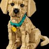 11384 LEGO® Icons - Golden Retriever puppy