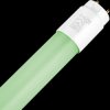 L498150003 T8 LED tube, 22 W, 1500 mm, green