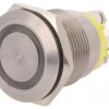 Przełącznik wandaloodporny Poz: 2 SPST-NO 0,05A/24VDC IP66 MPI002/TERM/AM