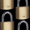 Y110B/40/122/4 Padlock, brass, 40 mm, 4 pieces