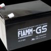 FG21202 Lead-fleece battery, 12 V, 12.0 Ah