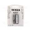 55BAT-LR6B/TESLA-B2