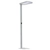 Lampa stojąca LED DOTLUX 3542-340240