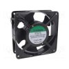 DP203A2123LBL