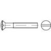 Wkręt z rowkiem TOOLCRAFT TO-5384394 M3 6 mm DIN 964 200 szt.