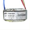 TT100/120/A Transformator sieciowy toroidalny Audio Sizei