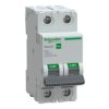 Wyłącznik nadprądowy B40 2P Easy9 PRO EZ9F-B40-2 EZ9F27240 SCHNEIDER ELECTRIC