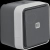31763505 Kontroll-Wechselschalter AP W.1 grau