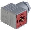 Złącze zaworowe przyłączeniowe do gniazda kabla typ A 4-PINowe 250 V GDM 3011 J grau