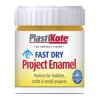 PlastiKote 440.0000033.067 Fast Dry Enamel Paint B33 Bottle Brass 59ml
