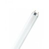 Świetlówka T8 36W/1.2m 6500K