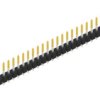 Pin header, 30 pole, pitch 2.54 mm, straight, black, 10053968