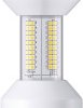 Żarówka LED Philips LED 81115300 E-27 35 W = 70 W 5500 lm ciepła biel 1 szt.