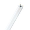 Świetlówka 15W/865 G13 T8 44cm POLAMP