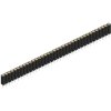 Socket header, 36 pole, pitch 2.54 mm, straight, BL 5 025 36