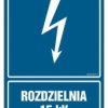 ZNAK - HG039 Rozdzielnia 15 kV 7,5 x 10 cm FN - Folia samoprzylepna