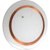 IPC11-50CD 10pcs, RFID Transponder