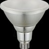 L643800827-1 E27 LED bulb, 11 W, 1035 lm, 2700 K, dimmable, IP65