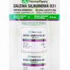 Zalewa silikonowa 031 dwuskładnikowa (addycyjna)