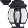 Zewnętrzna lampa ścienna Brilliant Istria 48682/06 60 W IP23