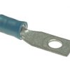 Konektor męski 7.7mm z oczkiem 4.3mm niebieski