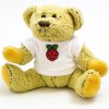 Babbage Bear - Official Raspberry Pi Mascot [Discontinued]