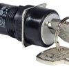 Wyłącznik kluczykowy IP40, IP65, DPDT, 1 A 2-Way