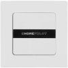 HOMEPILOT 12501001 Wireless Wall Switch Surface-Mount 1 piece