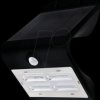 48636 LED solar light, radiator, with motion detector, 3.2 W, black, I