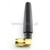 Antena WIFI 2.4GHz 2dBi SMA 39mm; z pinem