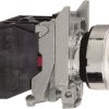 Schneider Electric XB4BW3165 XB4BW3165 Przycisk podświetlany 600 V 6 A chwilowy 1 szt.