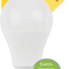 49363 LED SMD lamp A60 E27 8.8 W 810 lm WW Switch DIM