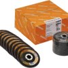 Tarcza lamelkowa Rhodius LSZ F2 VALUE PACK 208409 40 szt.