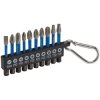 Draper Expert 04933 Impact S/Driver Bit Set 50mm 1/4" Hex (10 Pcs)