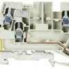 Zacisk instalacyjny Wieland Electric 56.404.8855.0 śrubowe 50 szt.