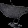 60093INT Pigeon repellent crow