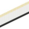 Pin header, 30 pole, pitch 2.54 mm, straight, black, 10049054