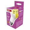 Żarówka LED Classic R63 / E27 / 7 W (60 W) / 806 lm / ciepła biel ZQ7E41