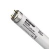 Świetlówka UVA F36W/T8/BL368 G13 SYLVANIA