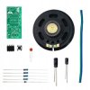 Ding-Dong Doorbell with NE555 Chip - DIY Kit