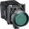 Schneider Electric XB4BW3335 Przycisk podświetlany XB4BW3335, 22 mm, 600 V, 6 A, 1 szt.