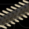 66686 Pin header 10 pin, pitch 1.27 mm, 1-row, straight, 5 pieces