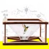 Projektor Holograficzny DIY Drewniana Zabawka Edukacyjna Dla Dzieci